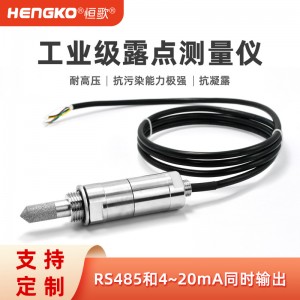 工業(yè)露點傳感器_恒歌 ±2%RH高精度天然氣管道工業(yè)露點儀